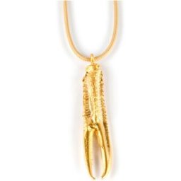 Shabama Tuent Cool Beige collar #oro brillo