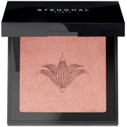 Stendhal Blush illuminateur #300-Rose Jaipur