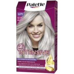 Palette Intensive tinte #U71-gris plata