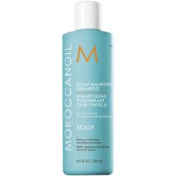 Moroccanoil Scalp champú equilibrador del cuero cabelludo 250 ml