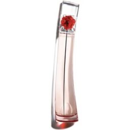 Flower By Kenzo L’ABSOLUE eau de parfum vaporizador 50 ml