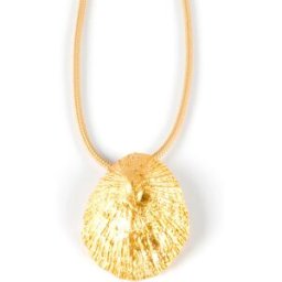 Shabama Calobra Cool Beige collar #oro brillo