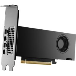 NVIDIA Tarjeta Gráfica Quadro RTX 2000 ADA FH 16GB GDDR6 (Bulk)
