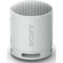 Sony SRS-XB100 Altavoz monofónico portátil Gris