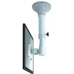 NewStar Soporte de techo para TV/monitor, 12 kg, 25,4 cm (10"), 76,2 cm (30"), 75 x 75 mm, 100 x 100