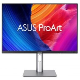 Asus ProArt PA248QFV - 24.1" WUXGA - LCD - Plata - 100Hz