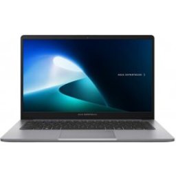 Asus ExpertBook P1 P1403CVA-S62013 Gris - 14" - Intel Core 5 - 16GB - 512GB SSD
