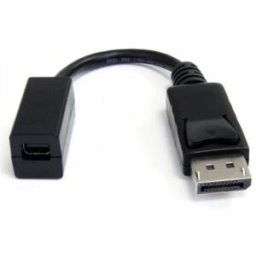 StarTech.com Cable de 15cm Adaptador DisplayPort Macho a Mini DisplayPort Hembra - DP a Mini DP - Ne