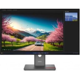 Lenovo ThinkVision P32UD-40 Monitor - 31.5" 4K Ultra HD - LCD - Negro - 120Hz