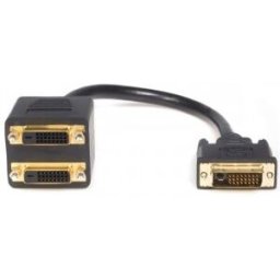 StarTech.com DVI-D to 2x DVI-D Digital Video Splitter Cable - Bifurcador de vídeo - enlace doble - D
