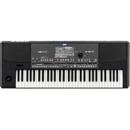 Korg PA600 Teclados Arreglistas