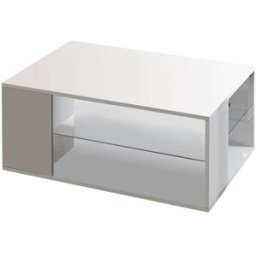 Whous Mesa de centro con estante de cristal de 90 cm color blanco brillo