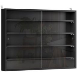 Homcom Vitrina de pared 80x9.5x60 cm negro