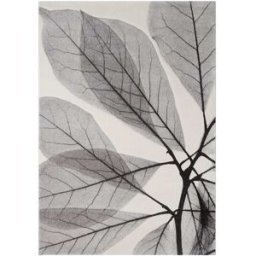Carpet Living Alfombra moderna diseño hojas gris negro 230x160cm