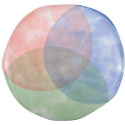 Aulica Plato plano tricolor - paradise - lote de 6