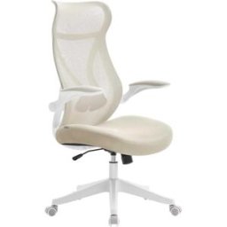 SONGMICS Silla de oficina de malla con reposacabezas de color beige capuchino