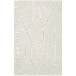 Wecon Home Alfombra en relieve con efecto óptico blanco roto 120x170