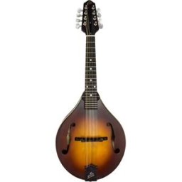 The Loar LM-110E-BRB Golden Brown Burst satinado