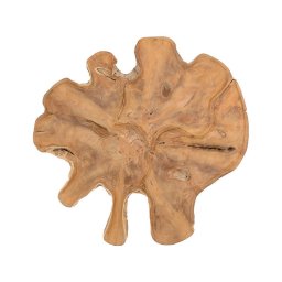 Tronco Decoracion de Pared Madera de Teca Serie Argiot