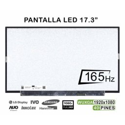 Pantalla LED 17.3" para portátil N173HME-GA1 Full HD 165Hz