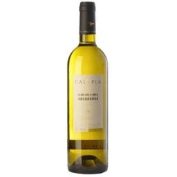 Vino Cal Pla Blanc 2023 - Fresco y aromático de España Celler Cal Pla
