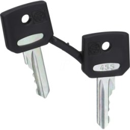 SCHNEIDER ELECTRIC ZBG455 - Llave de repuesto para interruptor de llave, 455, 2 ud.