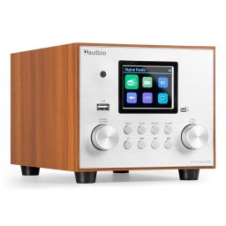 Radio Audizio Vieste SI Internet Digital 60 W Bluetooth Pantalla TFT 2.8" Marrón Plata