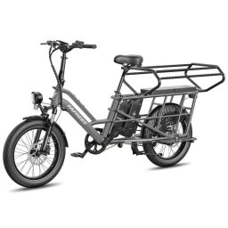 Bicicleta Eléctrica Fafrees FF20 CUV 250W con Doble Batería 48V 12Ah Neumáticos 20