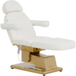 physa Camilla de estética eléctrica - 3 motores - 300 W - 200 x 60 x 60 - 82 cm - 200 kg - blanca/dorada 10040822