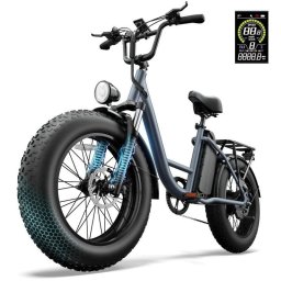 Bicicleta Eléctrica URLIFE E20 Pro 48V 750W Batería Extraíble Ruedas 20×4.0
