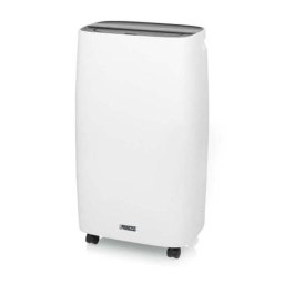 Ventilador de Sobremesa Princess 205W 2 Velocidades Apagado Automático Asa Pantalla Display 10L