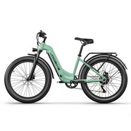 Bicicleta eléctrica Joobike JOO1 1000 W 48 V 17,5 Ah 26