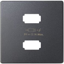 Placa cargador 2xUSB 5V 2.1A Simon ref. 8221096-038