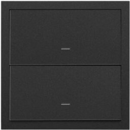 Kit front 1 elemento 2 teclas Simon ref. 10020103-238
