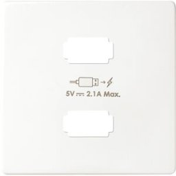Placa cargador 2xUSB 5V 2.1A Simon ref. 8221096-030