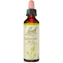 Flores de bach originales flores bach chestnut bud brote castao 20ml.