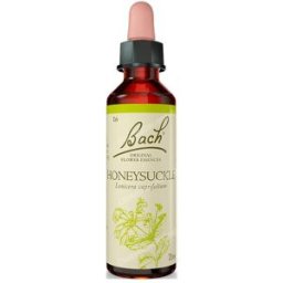 Flores de bach originales flores bach honeysuckle madreselva 20ml.