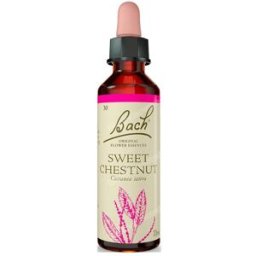 Flores de bach originales flores bach sweet chestnut castao dulce 20ml.