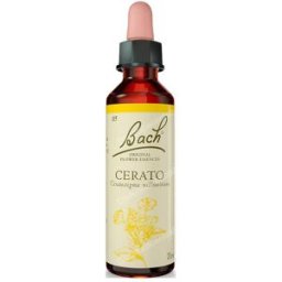 Flores de bach originales flores bach cerato ceratostigma 20ml.