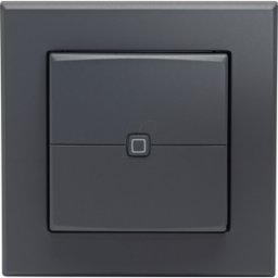 HOMEMATIC IP HMIP WRC2-A-2 - Interruptor de pared, 2 gangs, antracita