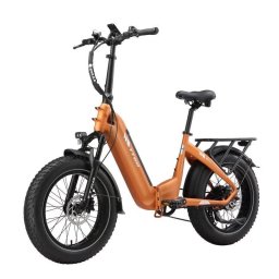 Bicicleta eléctrica TTGO F6 Boost 250 W 48 V 18 Ah 20 x 4,0