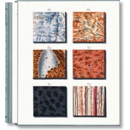 TASCHEN Jan christiaan sepp. The book of marble alemán, francés, inglés)