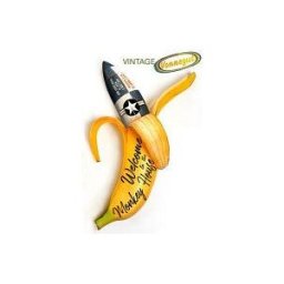 Penguin Random House Welcome To The Monkey House