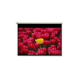 Optoma 16:9 2656 x 1494mm pantalla de proyección 3,05 m (120") Motorizada