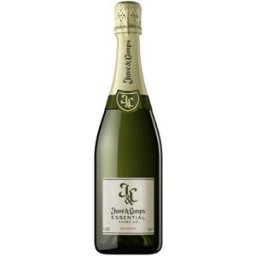 Juvé y Camps Juvé & Camps Essential Xarello 2021 - Vino blanco fresco y elegante de España