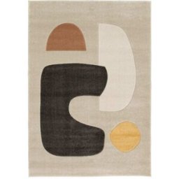 AFK Alfombra suave para un interior de diseño 120 x 170 cm