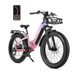 Bicicleta Eléctrica Freedare Eden 48V 20Ah 250W Sensor de Torsión con GPS