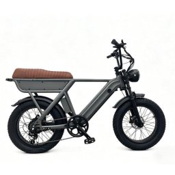 Bicicleta Eléctrica Yangor Y20 Neumáticos 20" x 4.0" 48V 15Ah