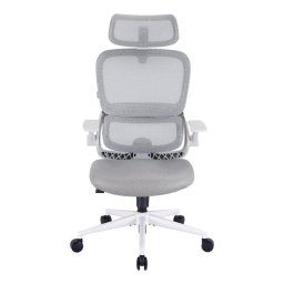 Silla Ergonómica SIHOO B100 SE Soporte Lumbar Reposabrazos Abatibles Gris