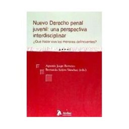 Atelier Libros S.A. Nuevo Derecho Penal Juvenil: Una Perspectiva Interdisciplinar. qué Hacer Con Los Menores Delincuentes?